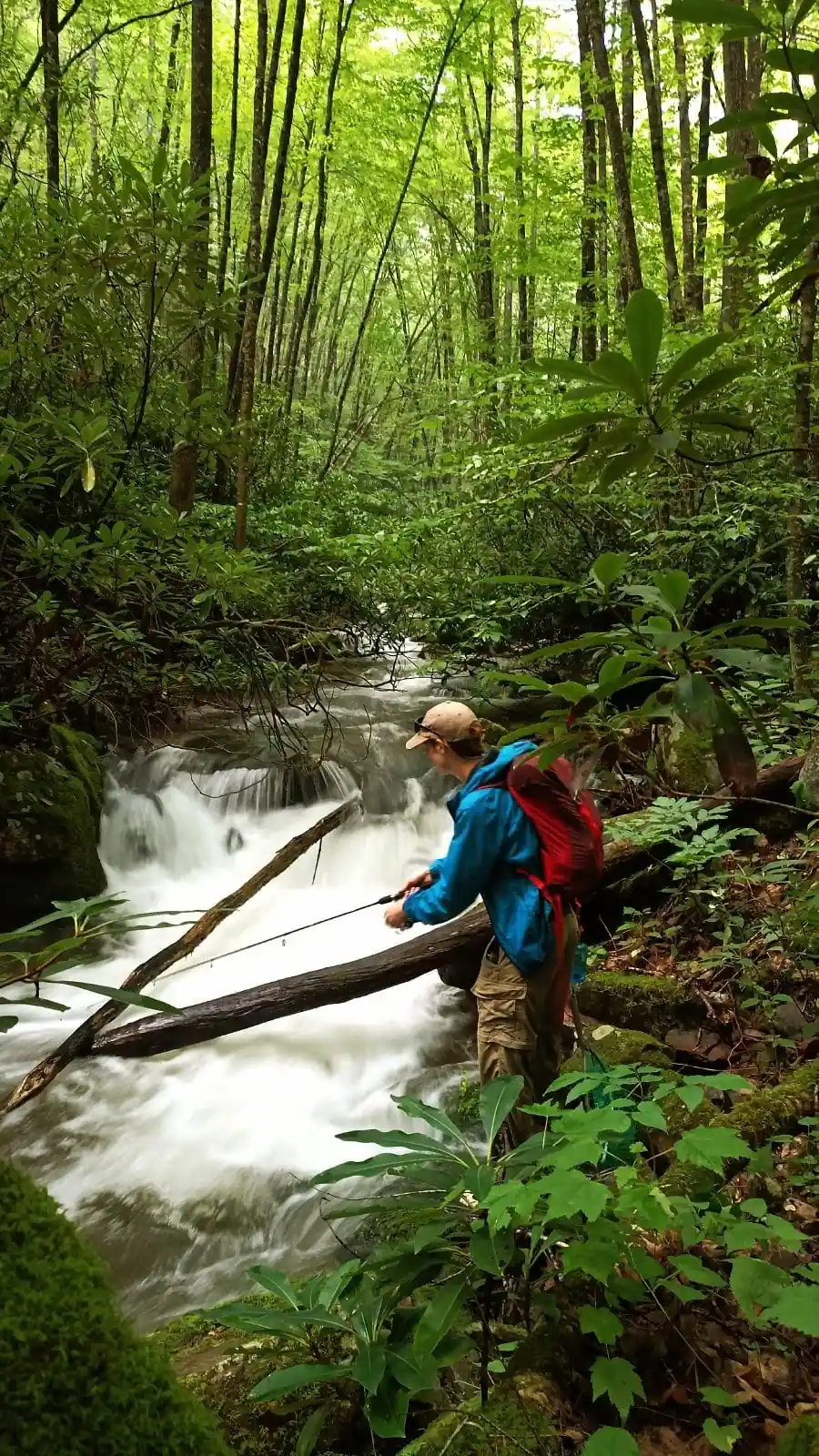 Fly fishing at Appalachian Outpost on the Watauga River
